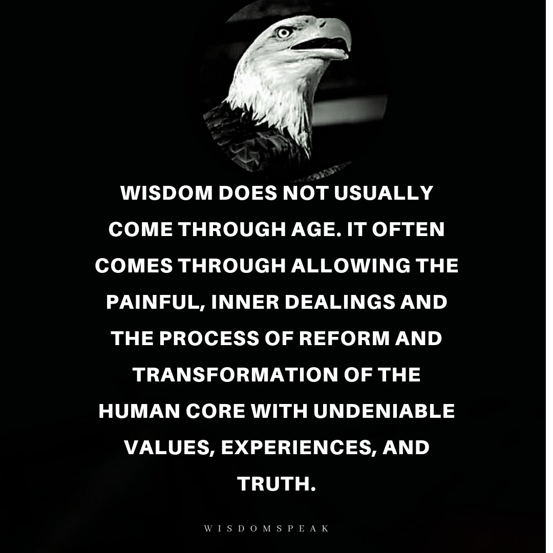 WISDOM 101.jpg