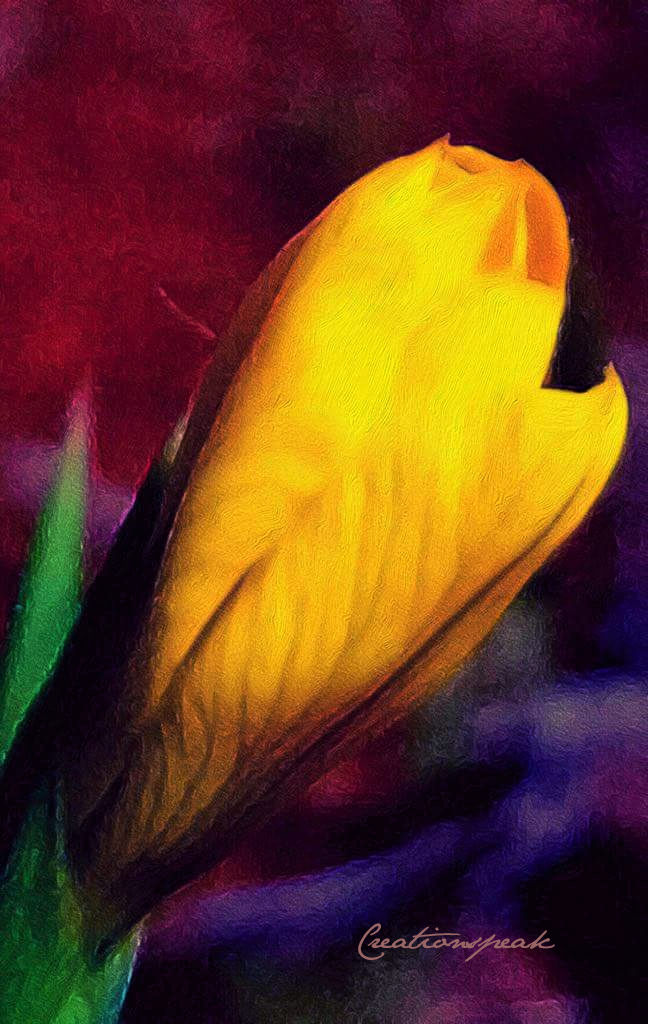 JUST-BEFORE-BLOOMING-SEASON